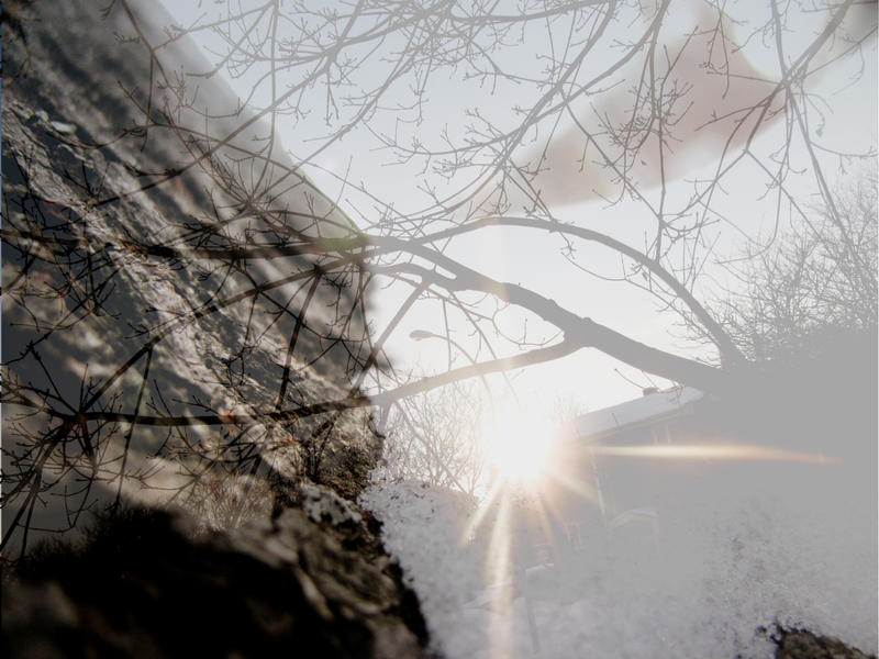 Illustration for article titled Shooting Challenge: Double Exposure, Gallery 2